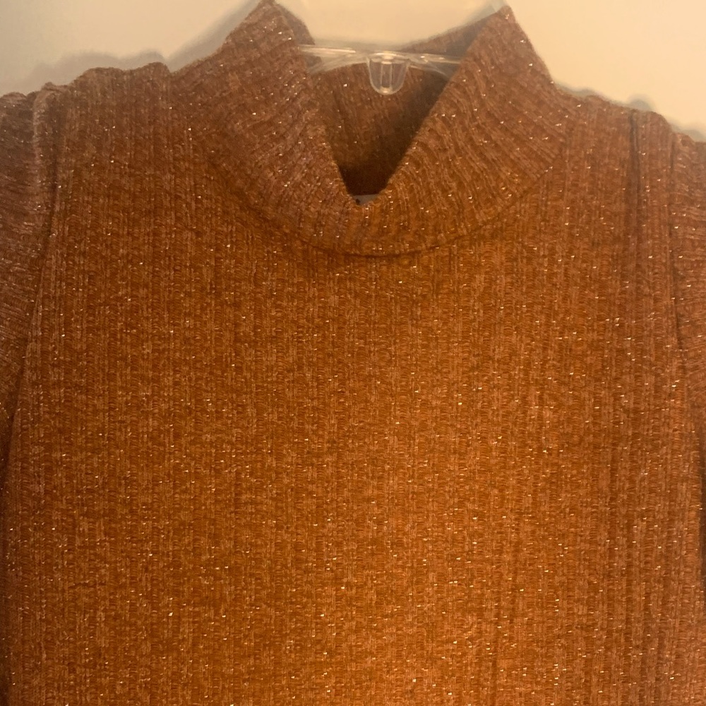 NWT Beautiful fitted sweater